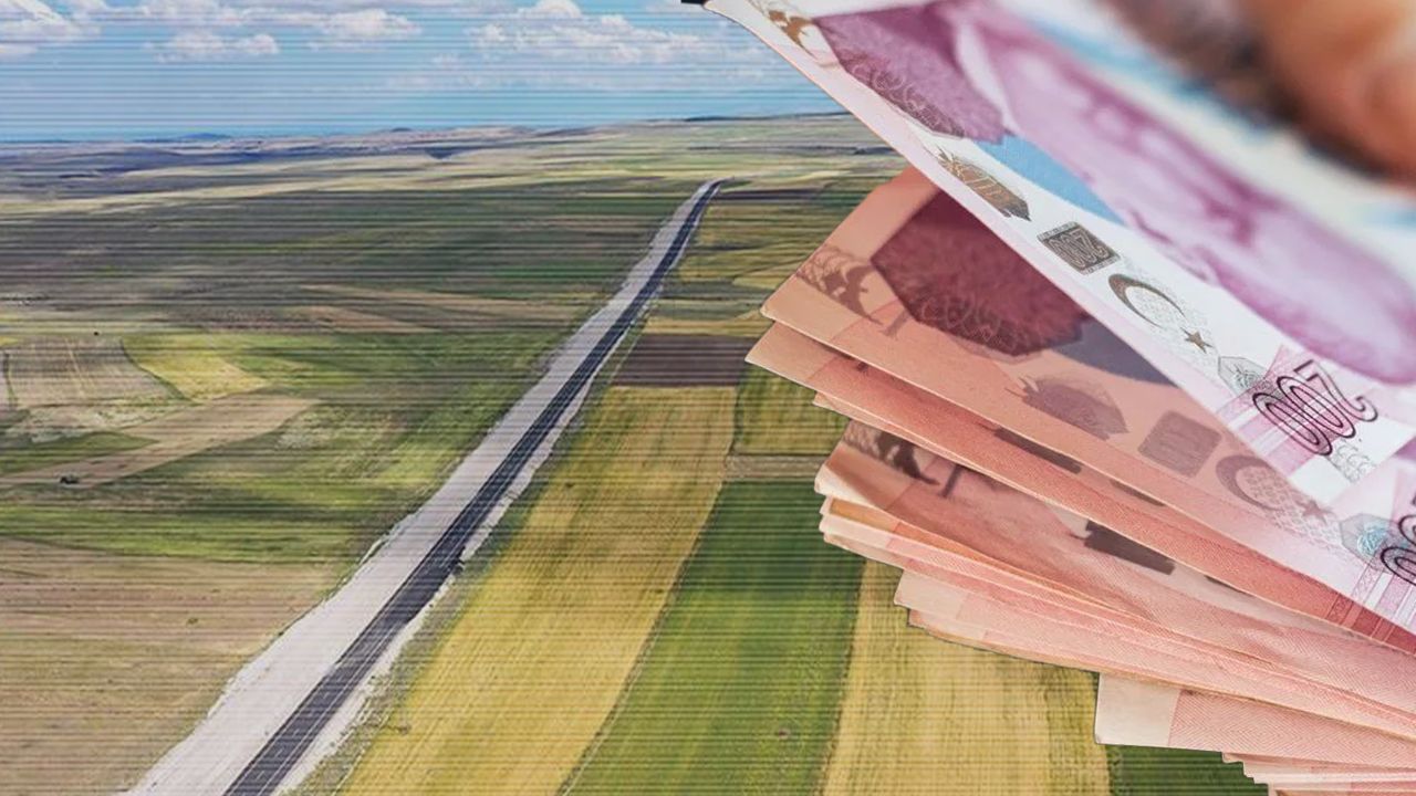 Dededen Miras Kalan Tarla Tapuları Nasıl Alınır?